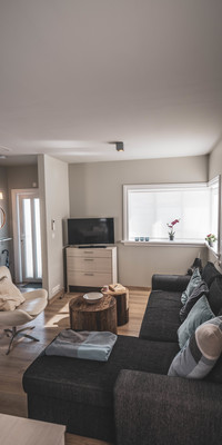 Scandinavian style living area with large couch and armchair