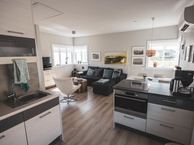 View from the open kitchen into the living area