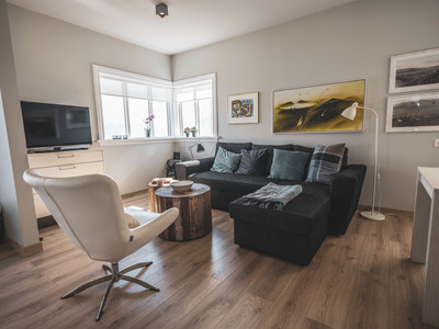 Living area with armchair and couch