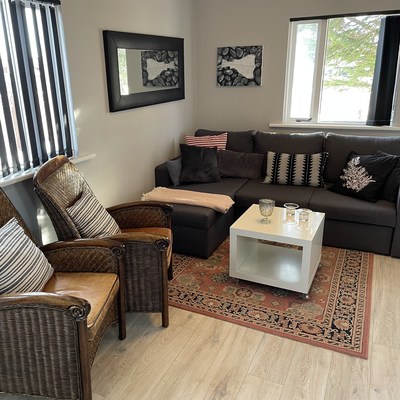 Enough space for four people: sofa and armchair in the living room