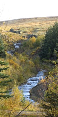 Enchanting stream landscape near the holiday home