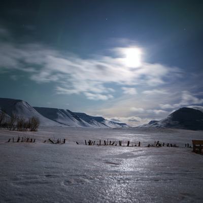 Enchanting winter landscape behind the holiday home