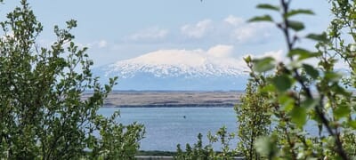 View from the house