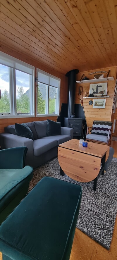 Living area with couch and wood stove
